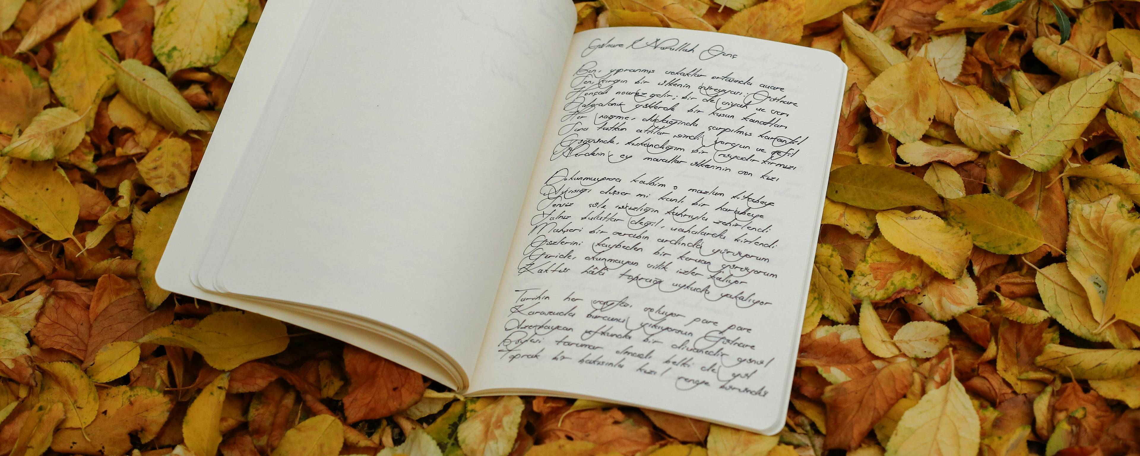 Poetry Chapbook Submissions: A Beginner's Path to Success