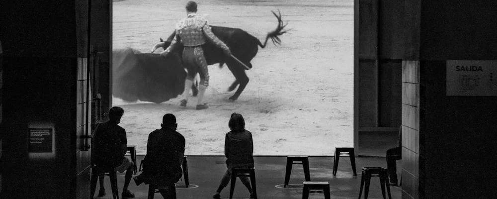 Understanding What a Test Audience for Movies Is