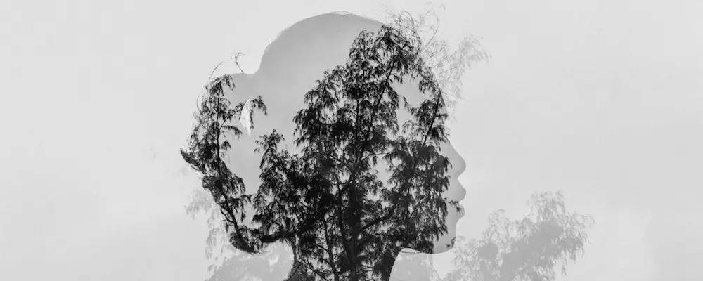 What Are Metaphors in a Poem? Meaning and Importance