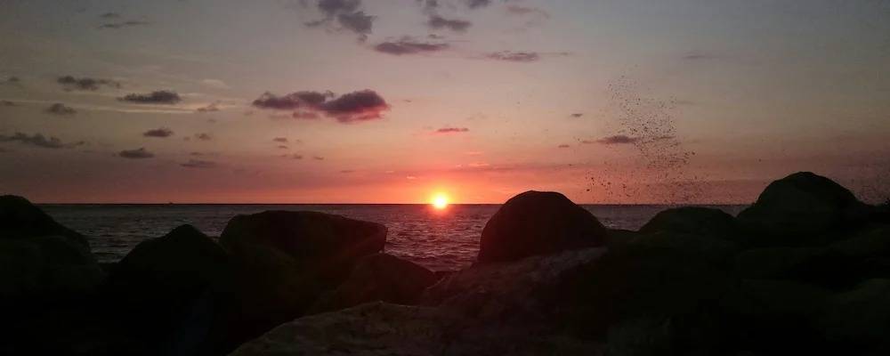 Poetry Rhymes Explained: Types, Tips, and Examples