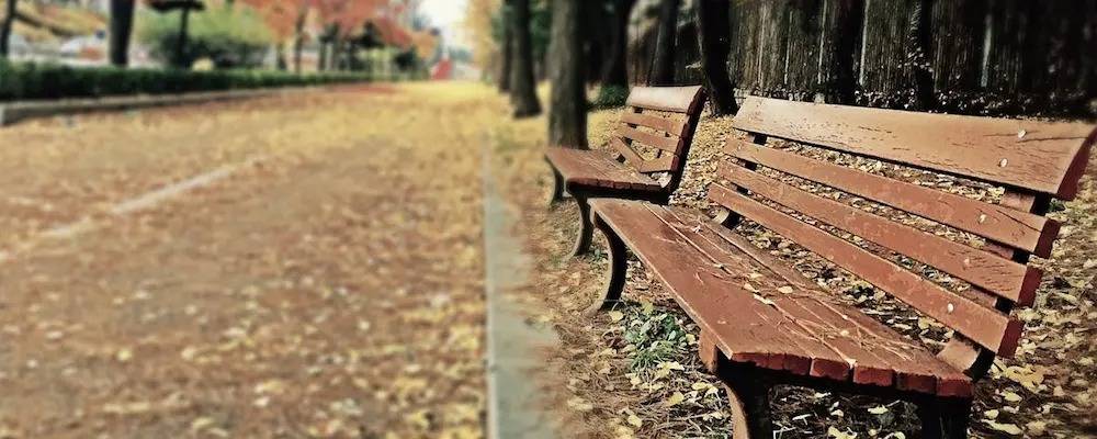 What Is Personification in Poetry and Why Writers Use It