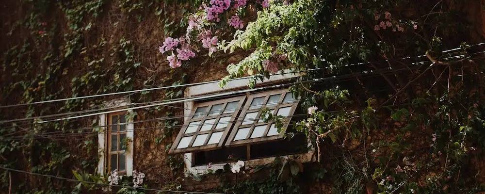 Flowery Prose: What It Means and How to Spot It