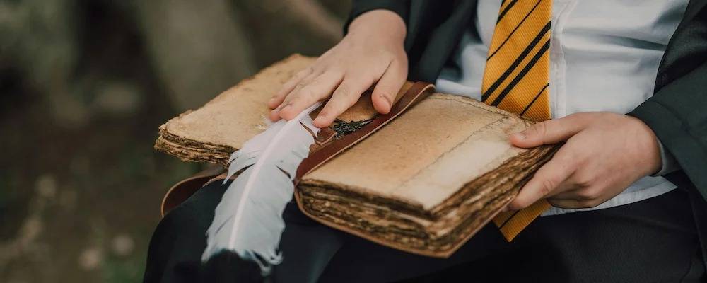 Novel Master: What It Means and How to Become One