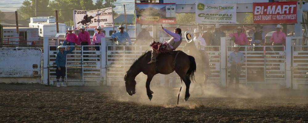 Episodic Shows: What They Are and Why You Should Watch