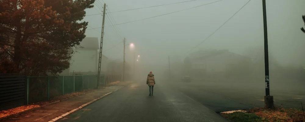 Teresa Fidalgo: The Story and Truth Explained