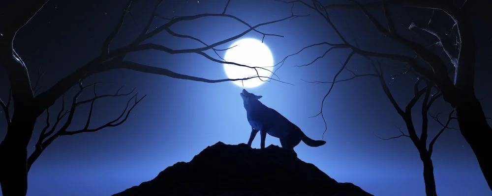 Werewolves in Fiction: Key Themes, Roles, and Examples